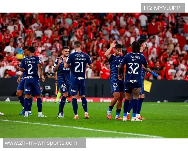 法甲焦点战：里尔主场迎战马赛全方位赛前分析与预测